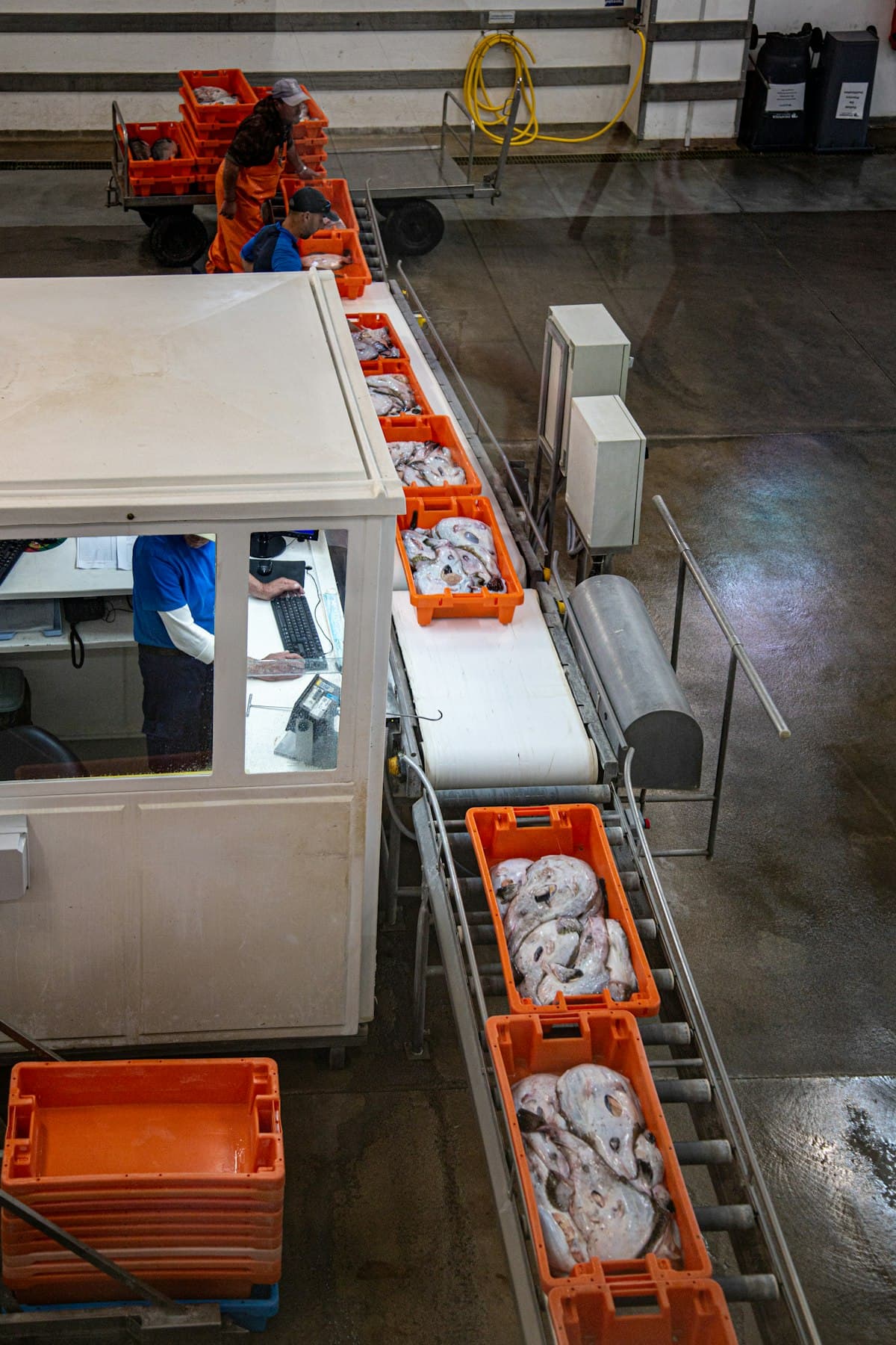 Food industry production facility
